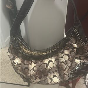 Stylish Black and Brown Women's Bag